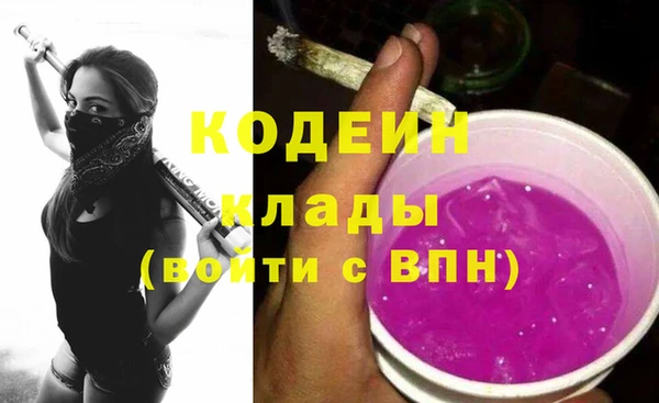 молекула духа Белоозёрский