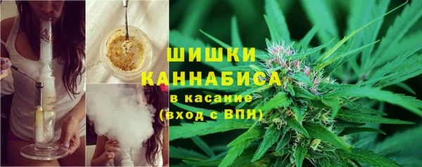 молекула духа Белоозёрский